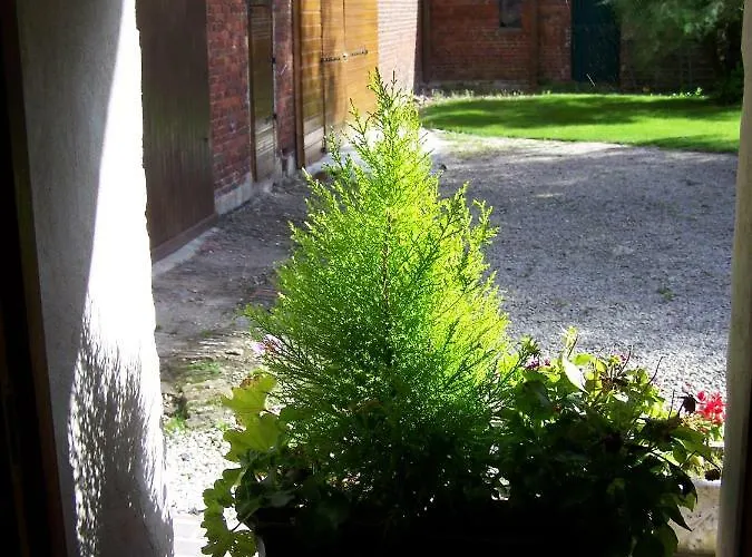 Couette-café Domaine Jeanne D'arc Valhuon